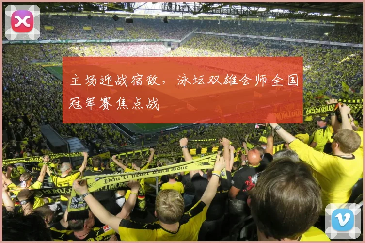 主场迎战宿敌，泳坛双雄会师全国冠军赛焦点战